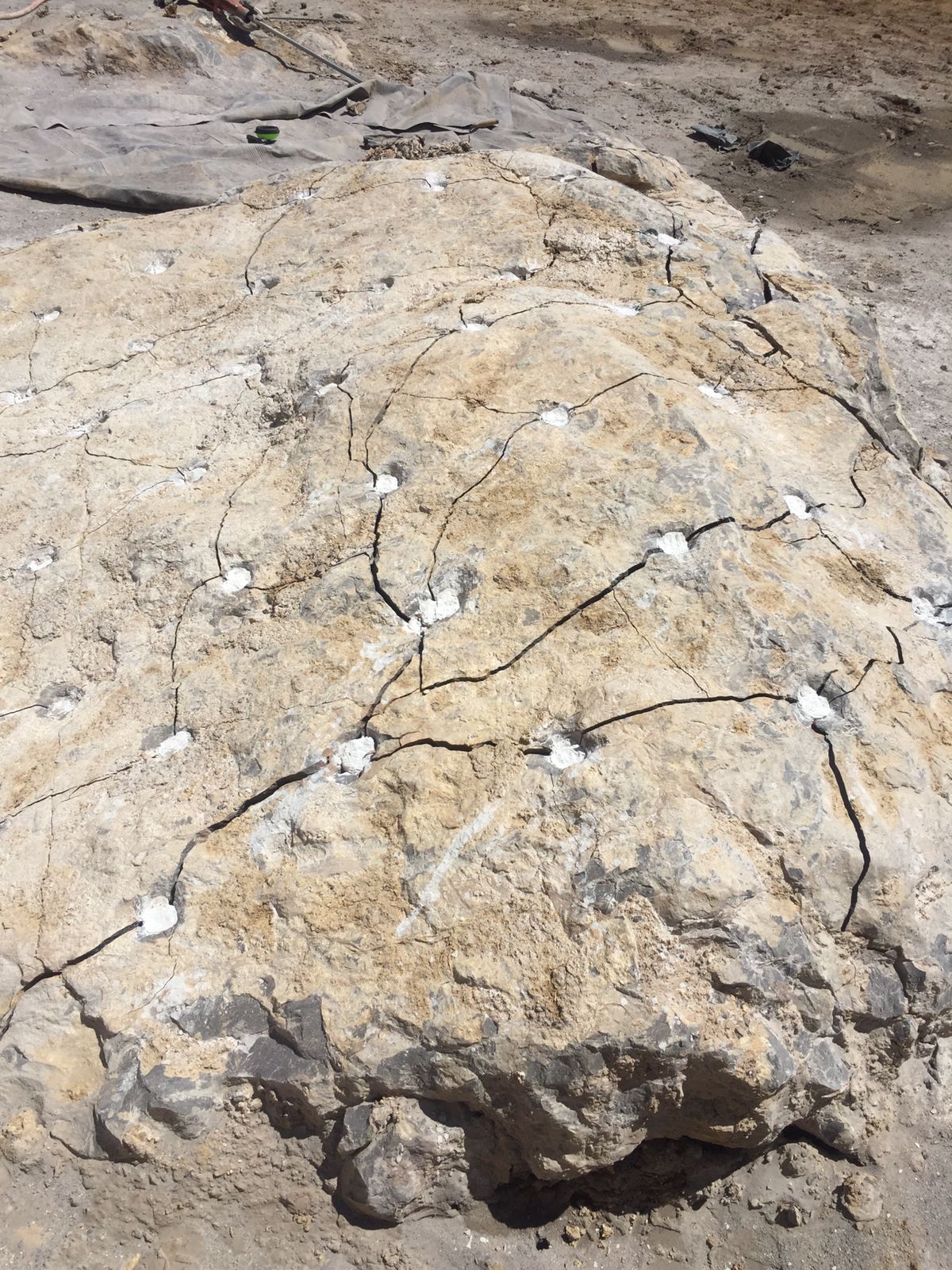 WhatsApp Image 2024-09-24 at 7.17.17 PM